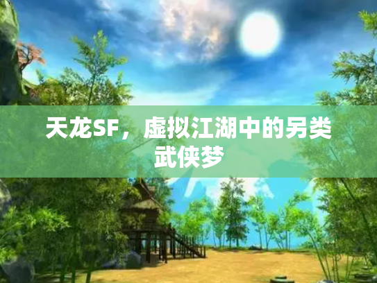 天龙SF，虚拟江湖中的另类武侠梦