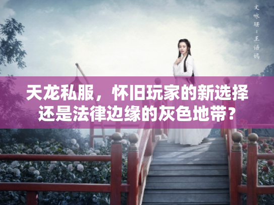 天龙私服，怀旧玩家的新选择还是法律边缘的灰色地带？