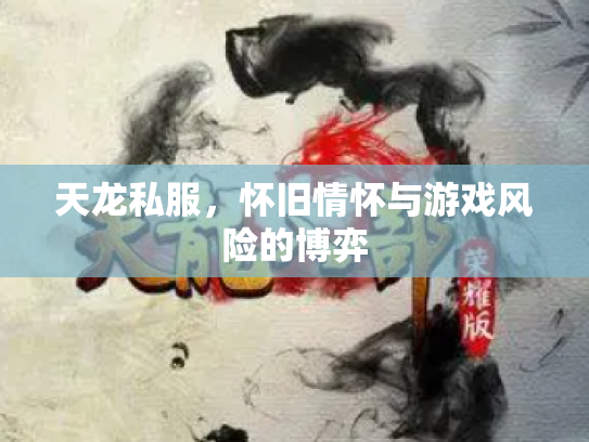 天龙私服，怀旧情怀与游戏风险的博弈