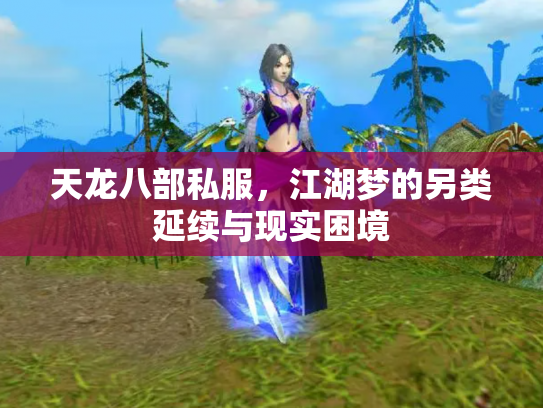 天龙八部私服，江湖梦的另类延续与现实困境
