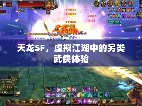天龙SF，虚拟江湖中的另类武侠体验