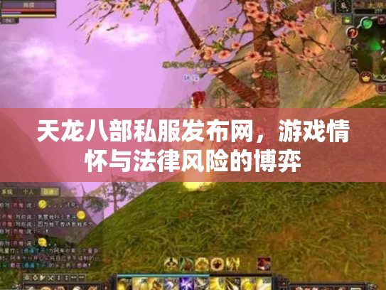 天龙八部私服发布网，游戏情怀与法律风险的博弈
