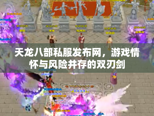 天龙八部私服发布网，游戏情怀与风险并存的双刃剑