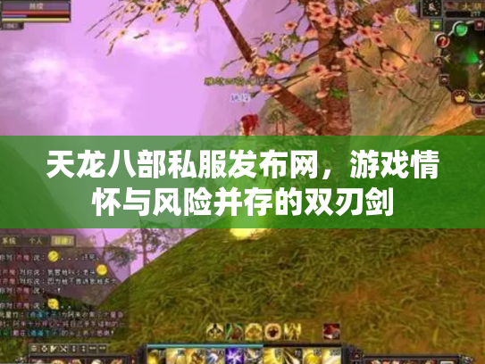 天龙八部私服发布网，游戏情怀与风险并存的双刃剑