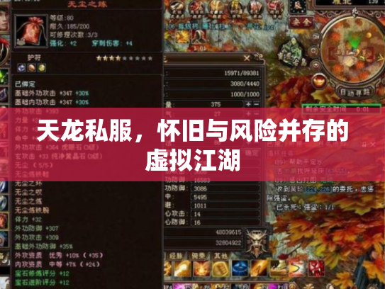 天龙私服，怀旧与风险并存的虚拟江湖
