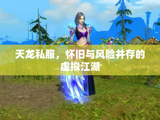 天龙私服，怀旧与风险并存的虚拟江湖