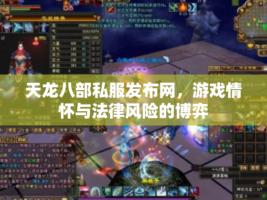天龙八部私服发布网，游戏情怀与法律风险的博弈