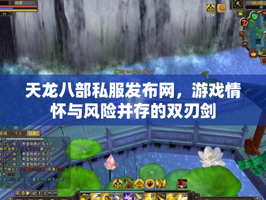天龙八部私服发布网，游戏情怀与风险并存的双刃剑