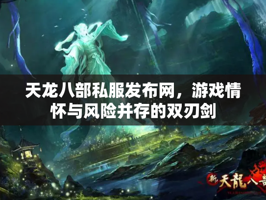天龙八部私服发布网，游戏情怀与风险并存的双刃剑