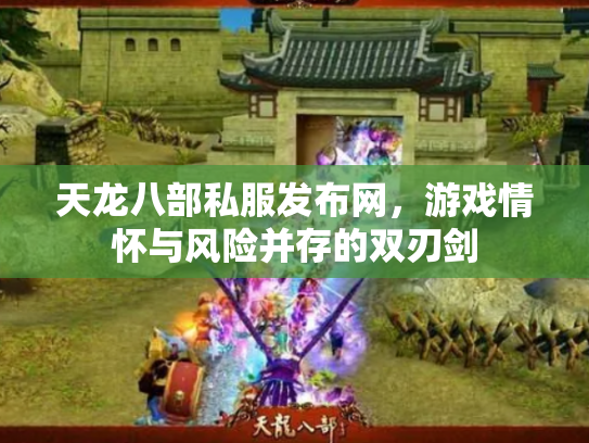 天龙八部私服发布网，游戏情怀与风险并存的双刃剑