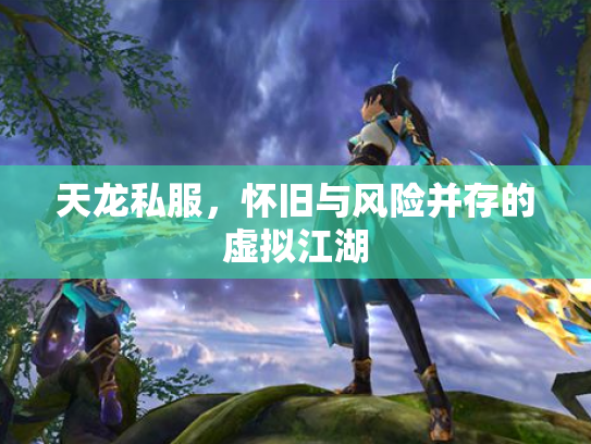 天龙私服，怀旧与风险并存的虚拟江湖