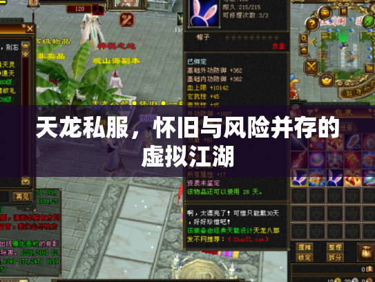 天龙私服，怀旧与风险并存的虚拟江湖