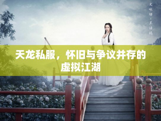 天龙私服，怀旧与争议并存的虚拟江湖