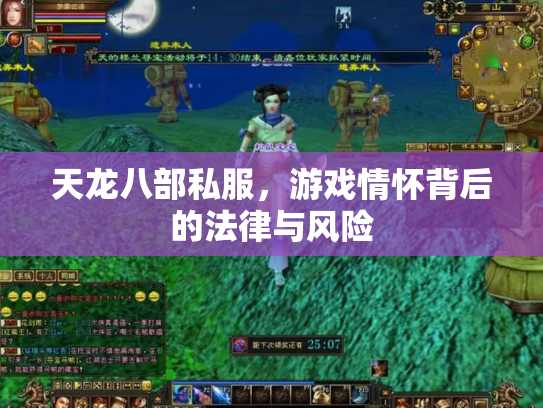 天龙八部私服，游戏情怀背后的法律与风险