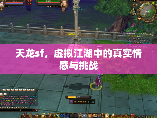 天龙sf，虚拟江湖中的真实情感与挑战