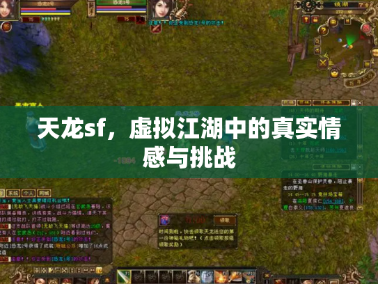 天龙sf，虚拟江湖中的真实情感与挑战