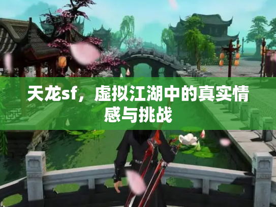 天龙sf，虚拟江湖中的真实情感与挑战