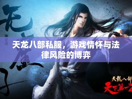 天龙八部私服，游戏情怀与法律风险的博弈