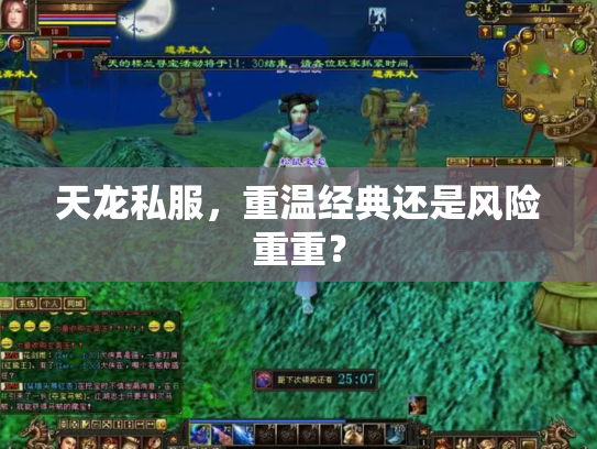 天龙私服，重温经典还是风险重重？