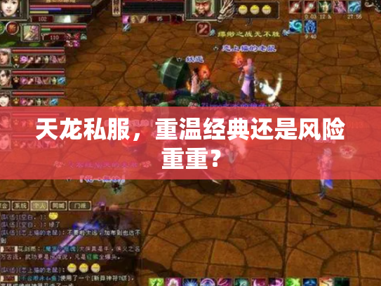 天龙私服，重温经典还是风险重重？
