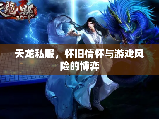 天龙私服，怀旧情怀与游戏风险的博弈
