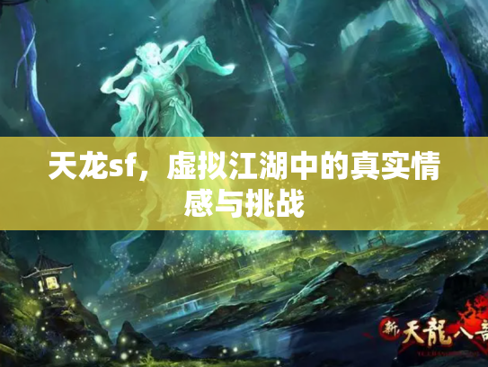 天龙sf，虚拟江湖中的真实情感与挑战