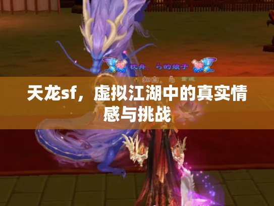天龙sf，虚拟江湖中的真实情感与挑战