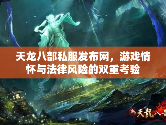 天龙八部私服发布网，游戏情怀与法律风险的双重考验