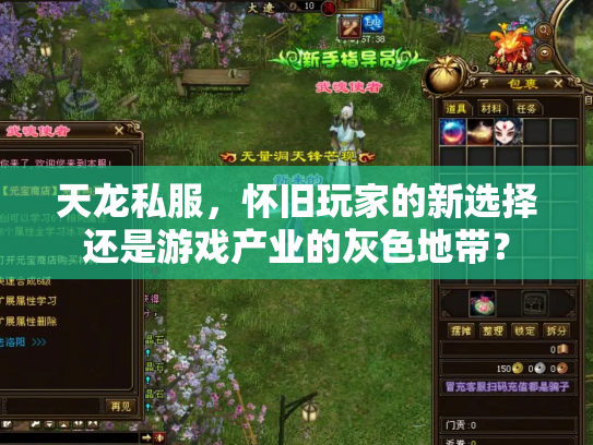 天龙私服，怀旧玩家的新选择还是游戏产业的灰色地带？