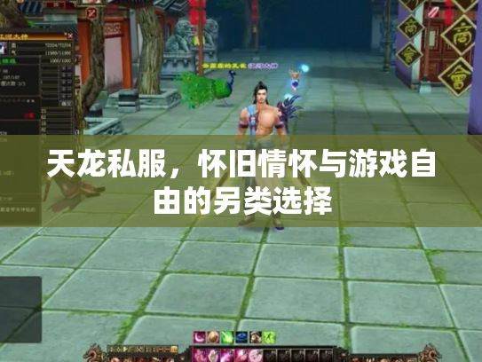 天龙私服，怀旧情怀与游戏自由的另类选择