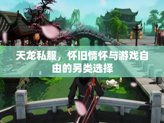 天龙私服，怀旧情怀与游戏自由的另类选择