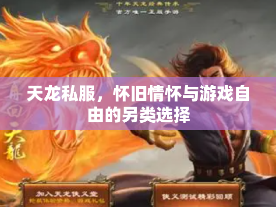 天龙私服，怀旧情怀与游戏自由的另类选择