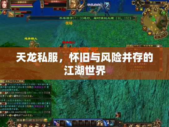 天龙私服，怀旧与风险并存的江湖世界