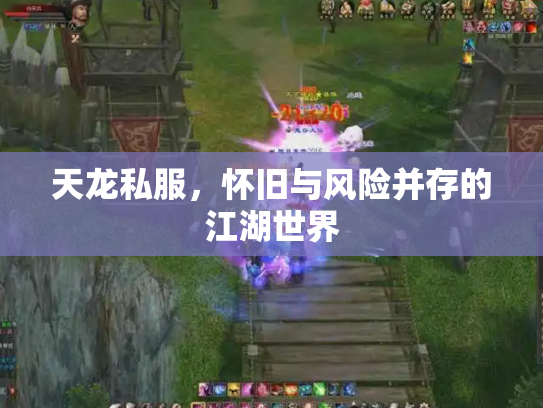 天龙私服，怀旧与风险并存的江湖世界