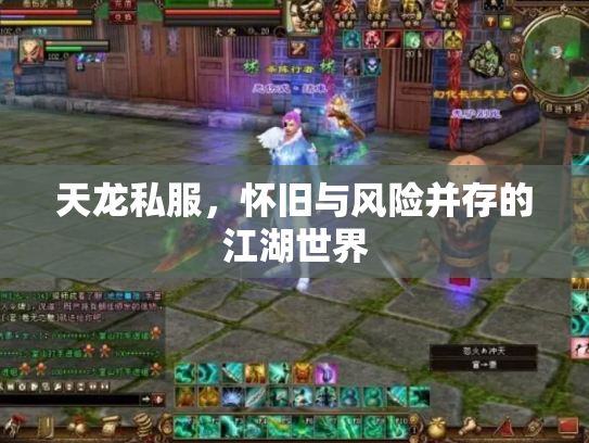 天龙私服，怀旧与风险并存的江湖世界