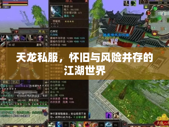 天龙私服，怀旧与风险并存的江湖世界