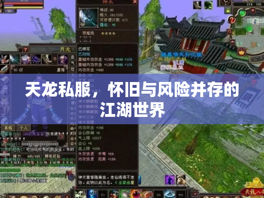 天龙私服，怀旧与风险并存的江湖世界