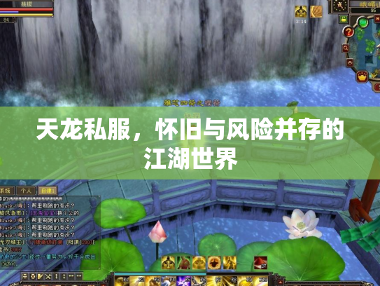 天龙私服，怀旧与风险并存的江湖世界