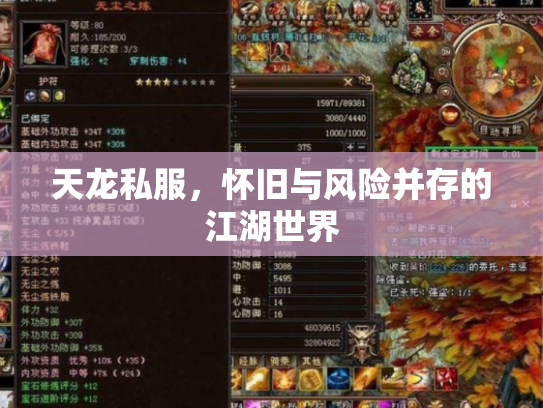 天龙私服，怀旧与风险并存的江湖世界