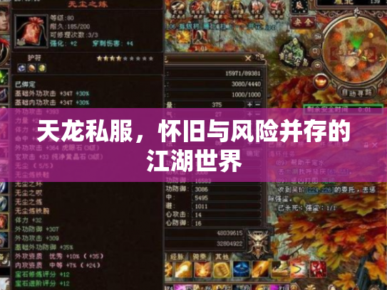 天龙私服，怀旧与风险并存的江湖世界