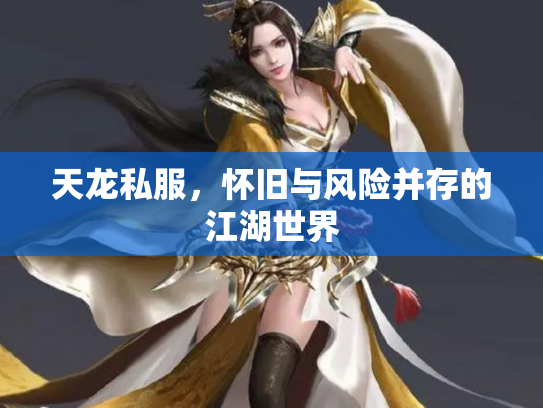 天龙私服，怀旧与风险并存的江湖世界