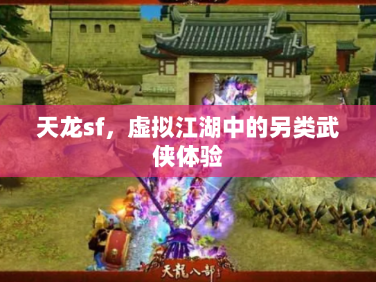 天龙sf，虚拟江湖中的另类武侠体验