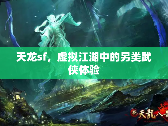 天龙sf，虚拟江湖中的另类武侠体验