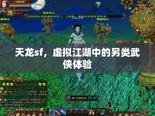 天龙sf，虚拟江湖中的另类武侠体验