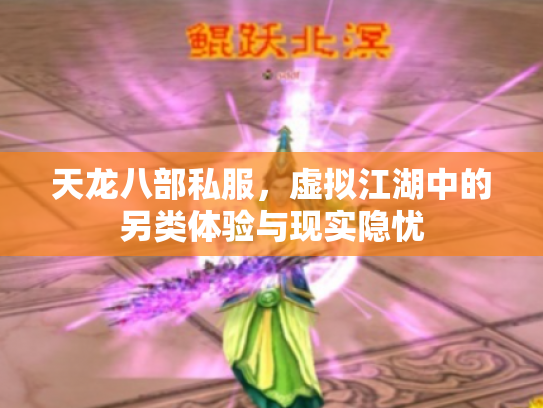 天龙八部私服，虚拟江湖中的另类体验与现实隐忧