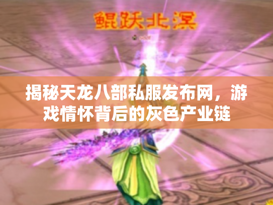 揭秘天龙八部私服发布网，游戏情怀背后的灰色产业链