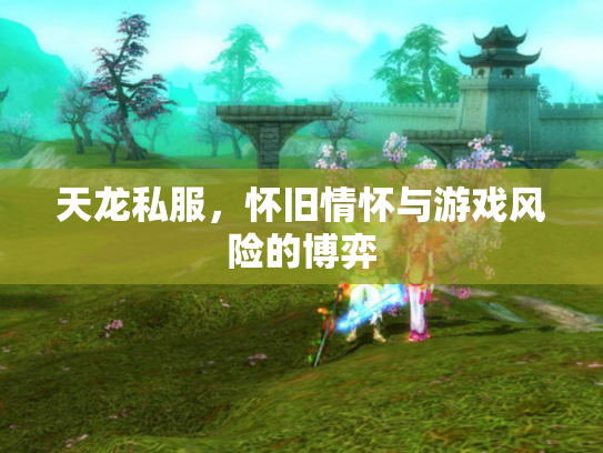 天龙私服，怀旧情怀与游戏风险的博弈