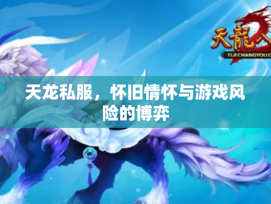 天龙私服，怀旧情怀与游戏风险的博弈
