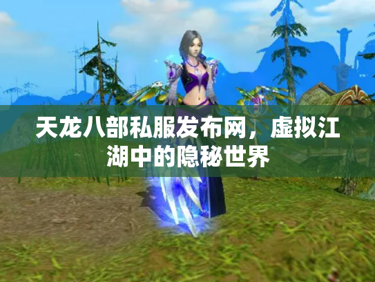 天龙八部私服发布网，虚拟江湖中的隐秘世界