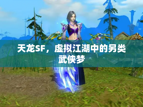 天龙SF，虚拟江湖中的另类武侠梦